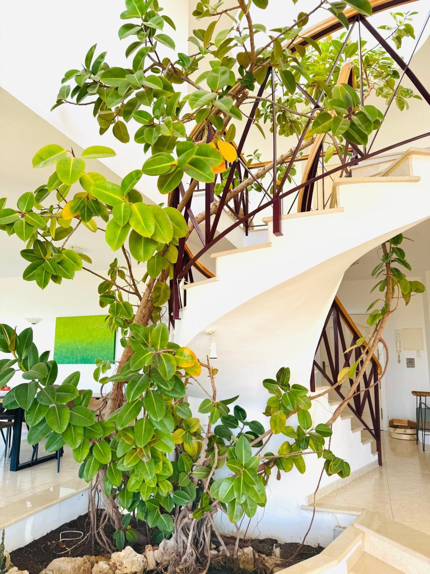 Villa Spacious In Hills *
